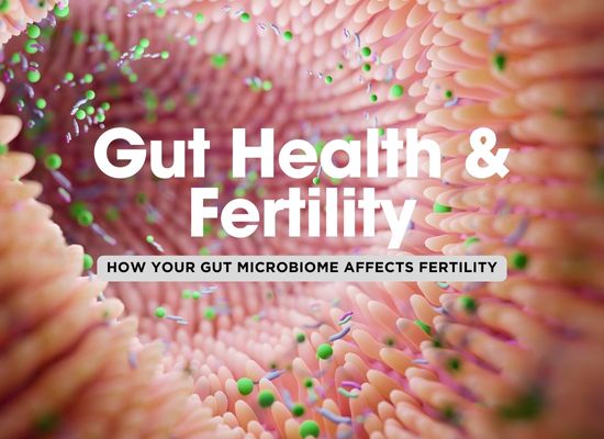 Fertility and the Impact of Gut Health