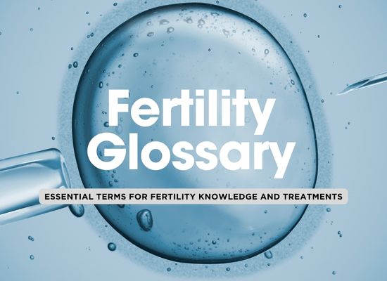 🌱👶 Top 40 Terms in Fertility